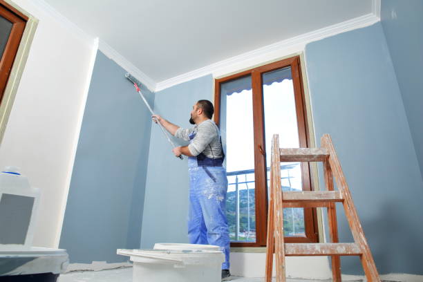 Reliable Lyford, TX Mold Removal Solutions
