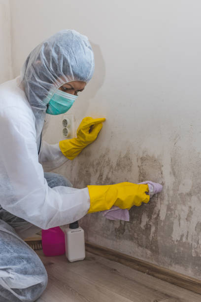 Best Emergency Mold Remediation  in Lyford, TX