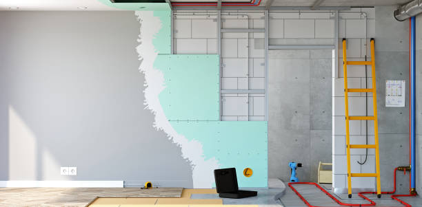 Best HVAC Mold Inspection and Cleaning  in Lyford, TX