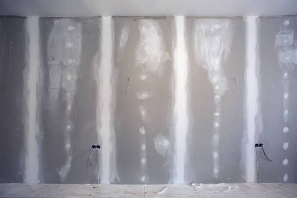 Best Environmental Consulting for Mold Prevention  in Lyford, TX