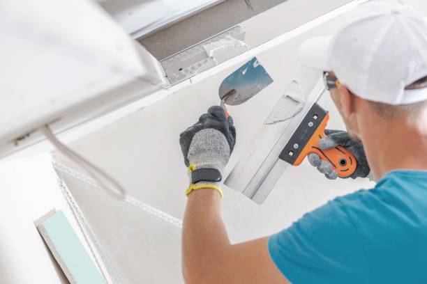 Best Attic Mold Removal  in Lyford, TX